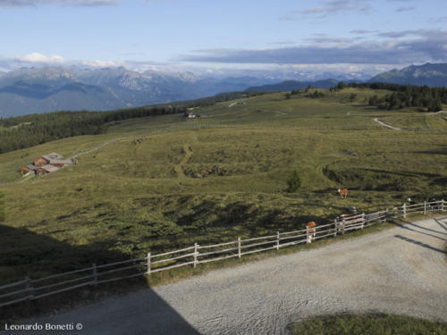 Alba dal rifugio Stakenfeld hutte