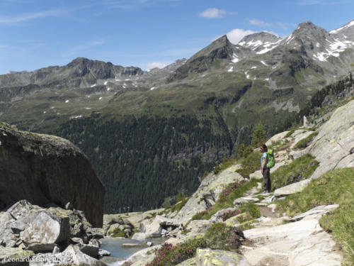 L' alta via Hartdegen weg continua