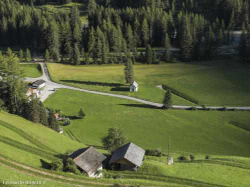 La luce del tramonto sui campi