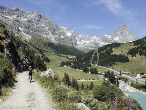 Sentiero 8 Cervinia. Belvedere su Cervino e Grandes Murailles